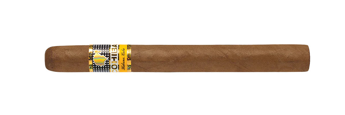 Siglo V
