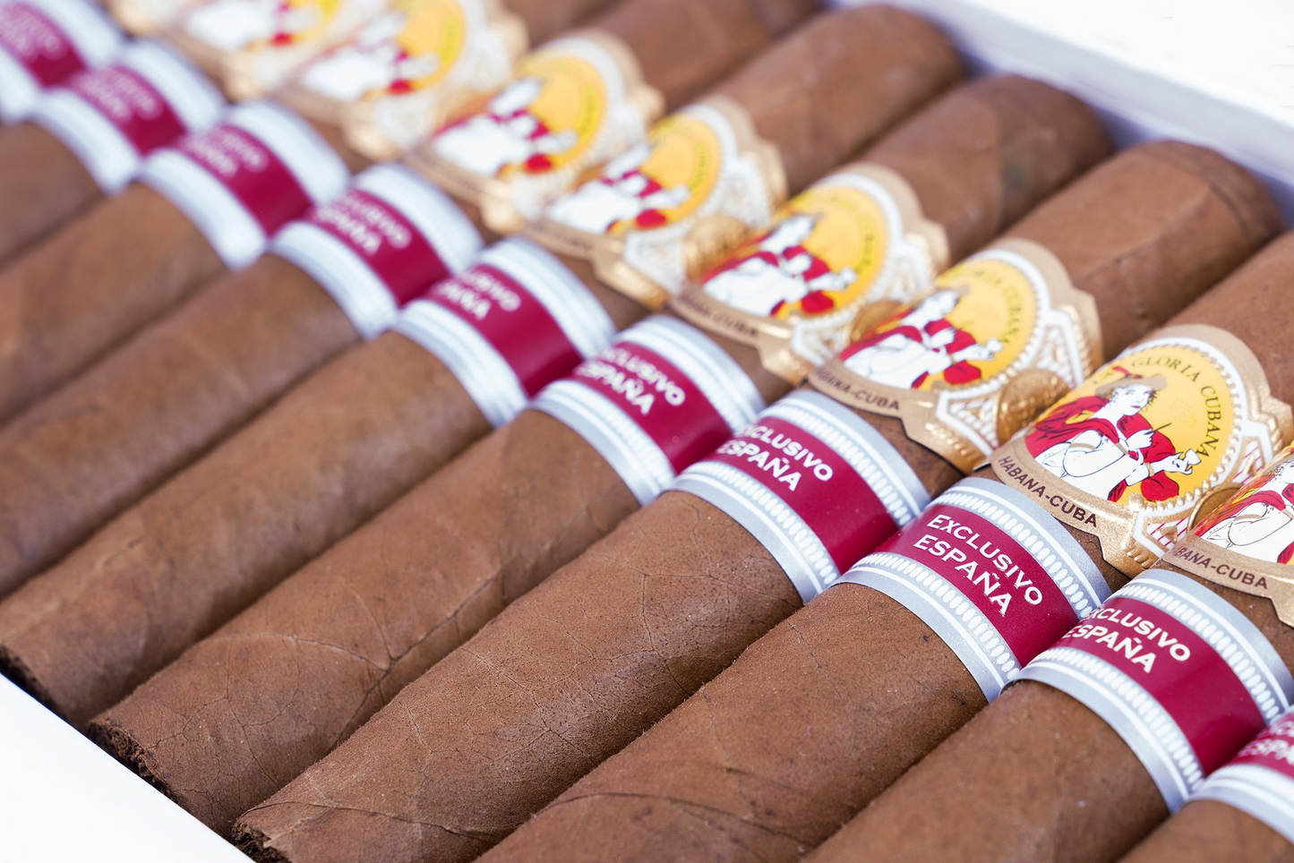 The image shows a premium Cuban cigar by the brand La Gloria Cubana from the year 2014
