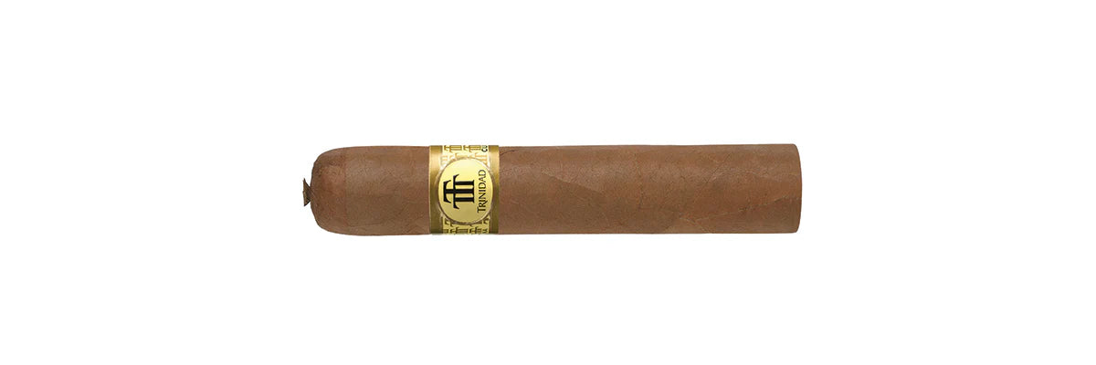 Trinidad Vigia