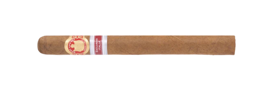 Saint Luis Rey La Cuna Italia